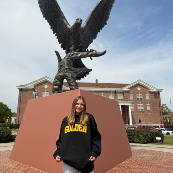 BallParke GOLDEN Mock